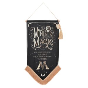 Ministry of Magic viiri