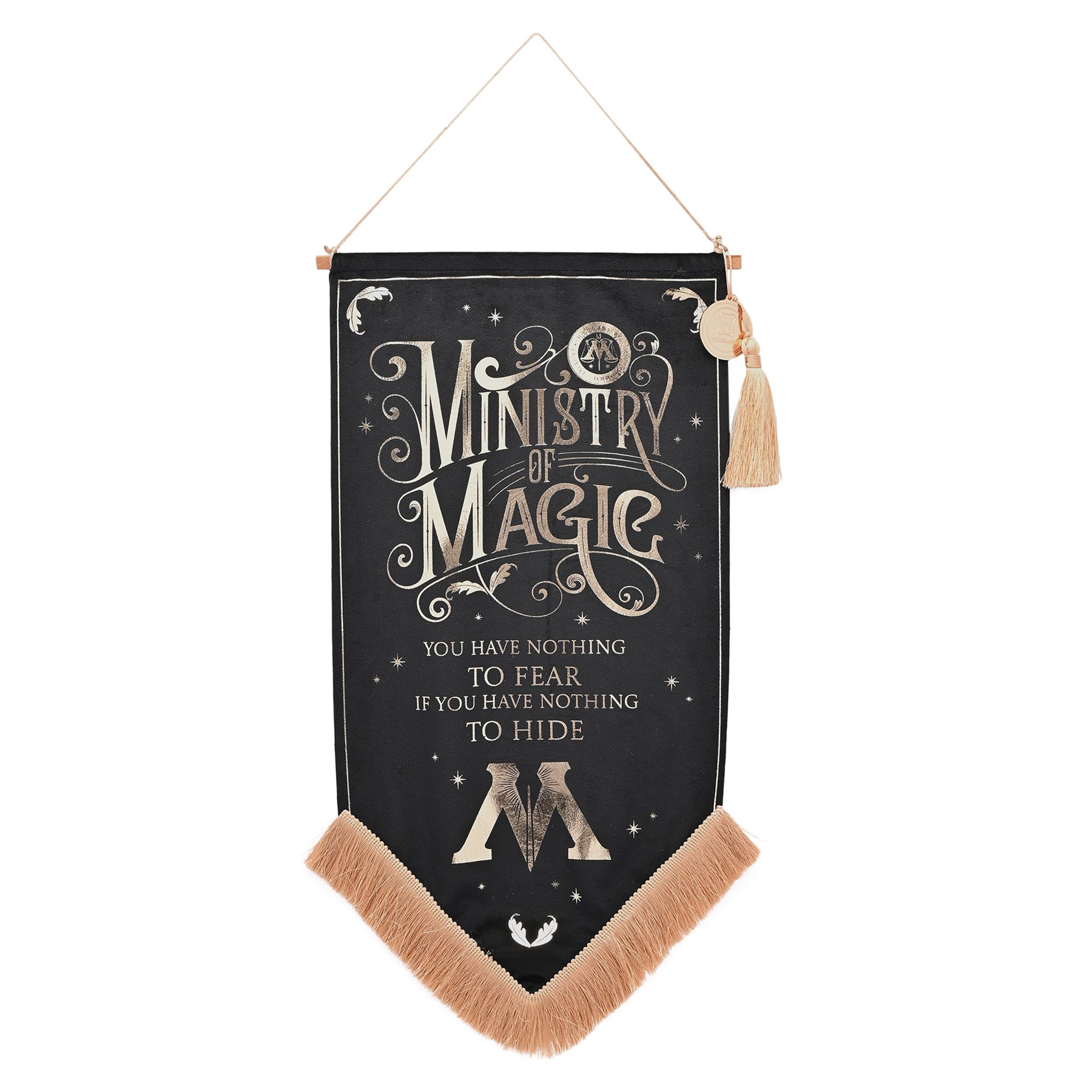 Ministry of Magic viiri